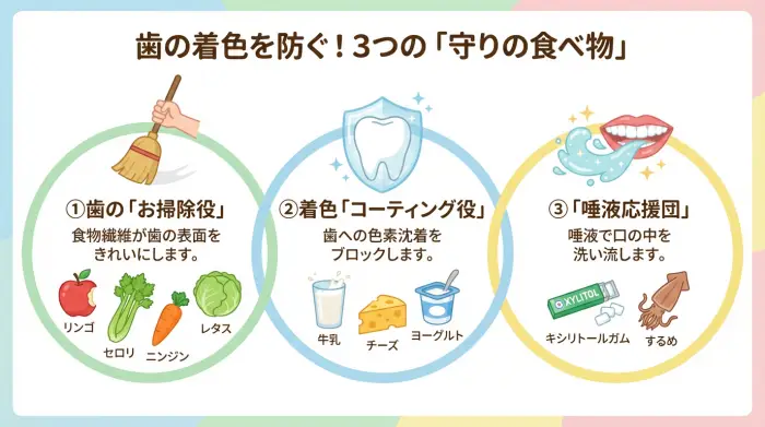 歯を守る3つの味方フード