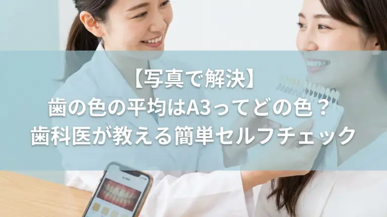 VITAシェードガイドの16段階の色見本を示すインフォグラフィック