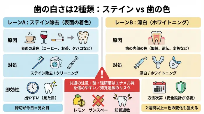 歯の白さは2種類（ステインの白さ／歯の内部色の白さ）
