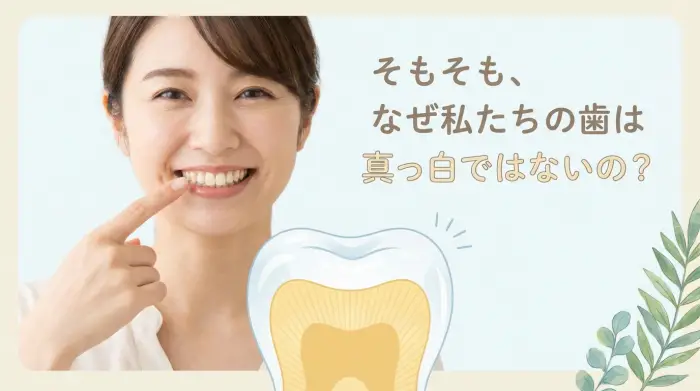 そもそも、なぜ私たちの歯は真っ白ではないの？