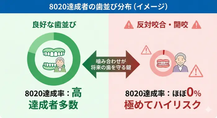 歯並びと8020達成率の相関