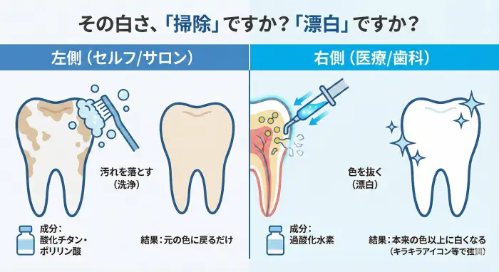 歯の構造とホワイトニング成分の到達範囲**