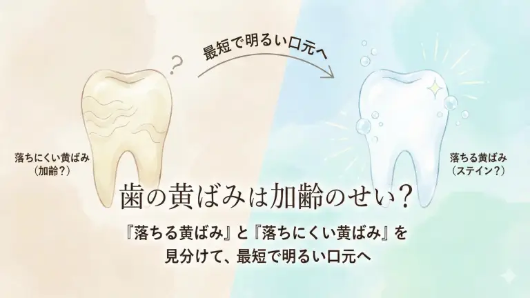 歯の黄ばみは加齢のせい？「落ちる黄ばみ」と「落ちにくい黄ばみ」を見分けて、最短で明るい口元へ
