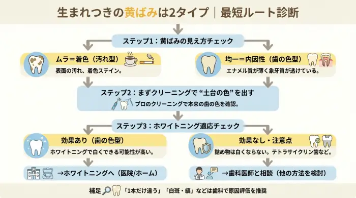 生まれつき歯が黄ばんで見える原因を汚れ型と歯の色型に分け、最短の対策手順を示したフロー図