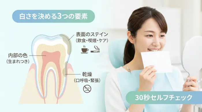 そもそも「歯が白い人」って何が違う?白さを決める3つの要素