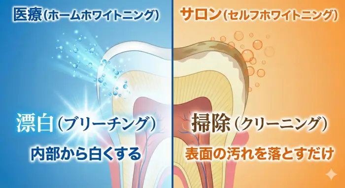 医療ホワイトニングとセルフホワイトニングの作用機序比較図