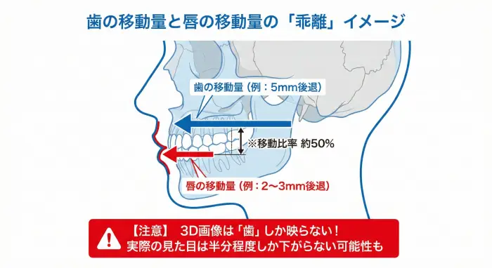 歯の移動量と唇の移動量の「乖離」イメージ