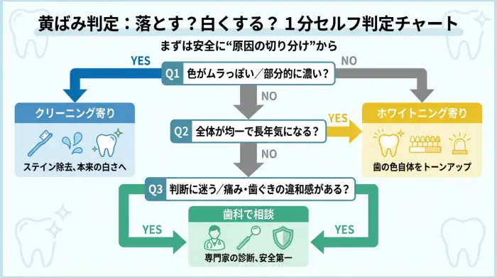 歯の黄ばみをステインか歯の色か見分け、クリーニングかホワイトニングかを選ぶ判定チャート