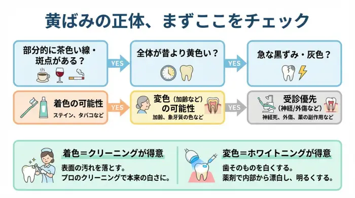 歯の黄ばみがひどい原因を着色と変色で見分ける診断フロー図