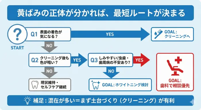 歯の黄ばみの原因（ステイン/歯の色）から最適な改善方法（クリーニング/ホワイトニング/歯科相談）へ分岐するフロー図