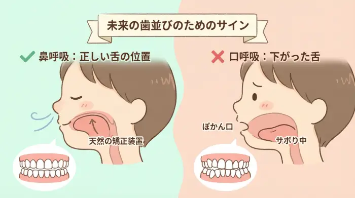 大丈夫、あなたのせいじゃありません。でも、お子さんの“ぽかん口”は未来の歯並びのサインです