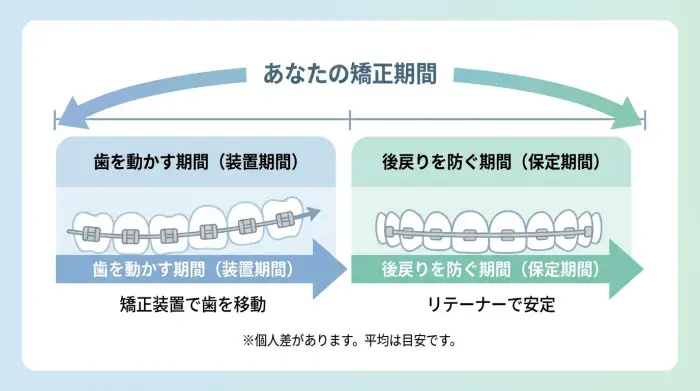 装置期間＋保定までが「あなたの矯正期間」