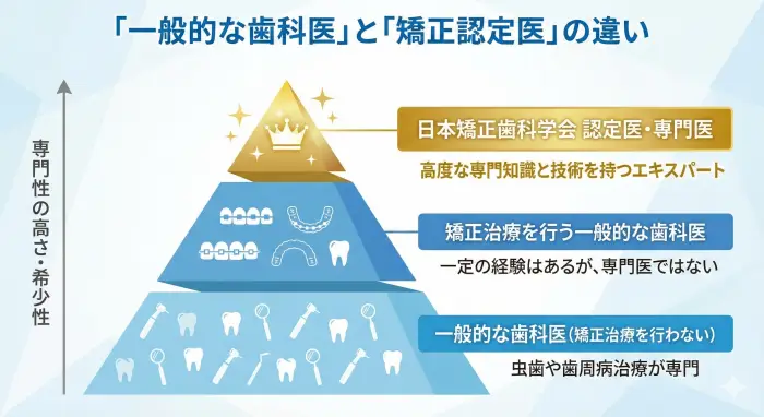 歯科医師全体の階層構造をピラミッドで表現。「日本矯正歯科学会 認定医」というエンティティが、矯正分野で一定の研修・審査・更新を経た専門性の指標であることを示しています。