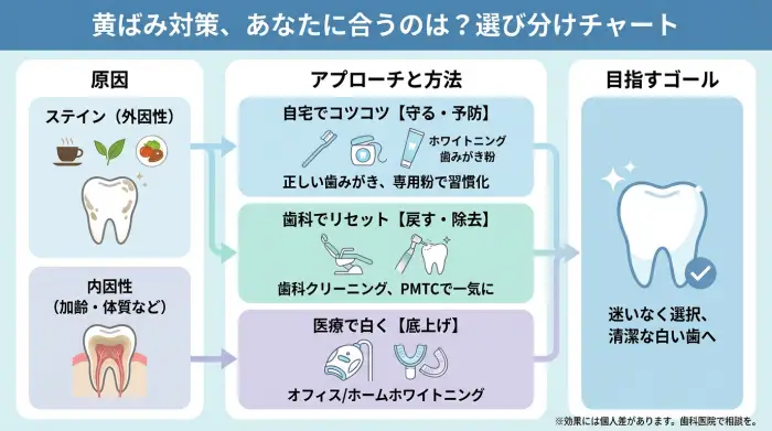 緑茶の黄ばみを戻す方法はどれ？
