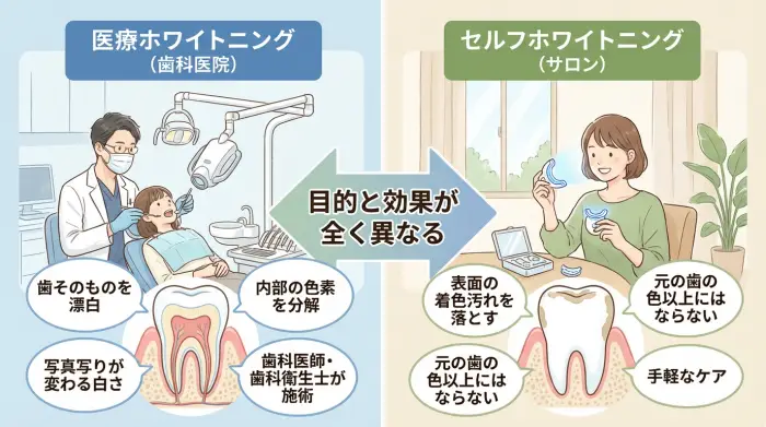 まず知ってほしい、一番大切なこと:歯医者さんとサロン、何が違うの?