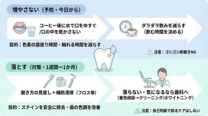 歯に付着したコーヒーの黄ばみ対策ロードマップ