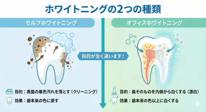 セルフホワイトニングとオフィスホワイトニングの違いを示す図解。セルフは歯の表面の汚れを落とし、オフィスは歯の内部から漂白する仕組みを表している。
