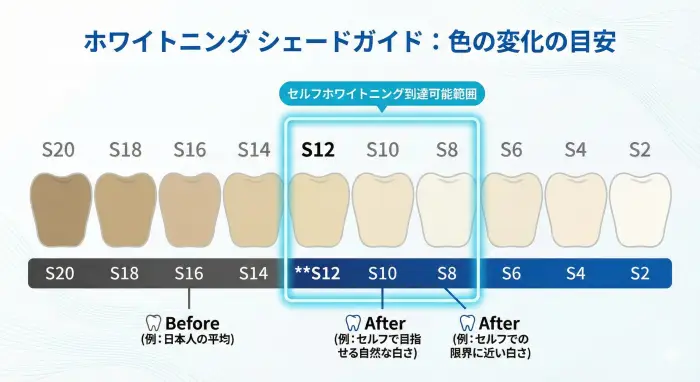 ホワイトニングのシェードガイド。セルフホワイトニングで到達可能なS12〜S8の範囲を強調。