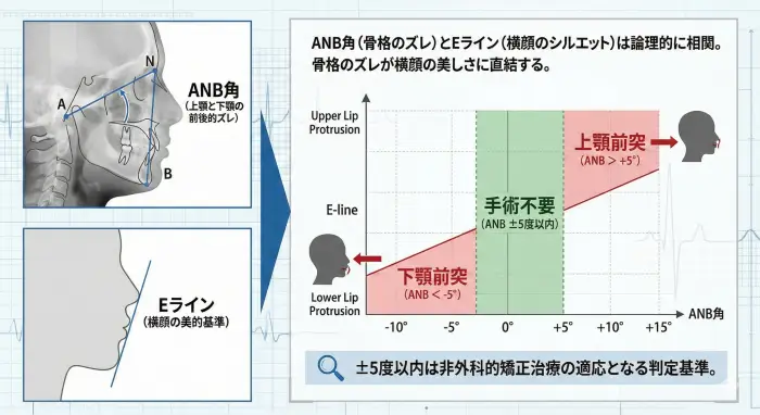 セファロ分析におけるANB角とEラインの相関図。骨格のズレと横顔のシルエットの論理的関係を示し、手術不要の判定基準である5度以内を視覚化