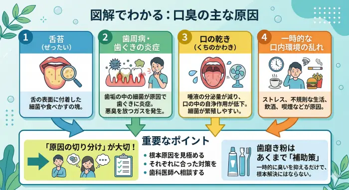 口臭の主な原因