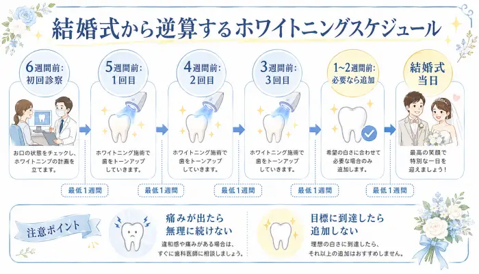 結婚式の6週間前から始めるスターホワイトニングの通院スケジュール