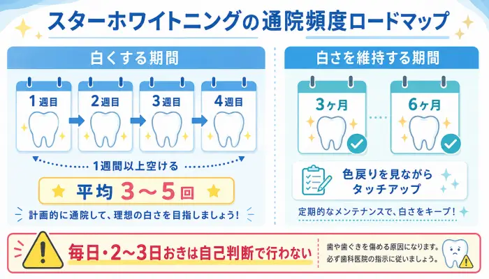 スターホワイトニングで歯を白くする期間と白さを維持する期間の通院頻度